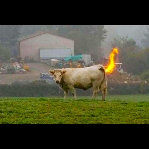 Meet your Posher, Matthew - Picture 1 of 1